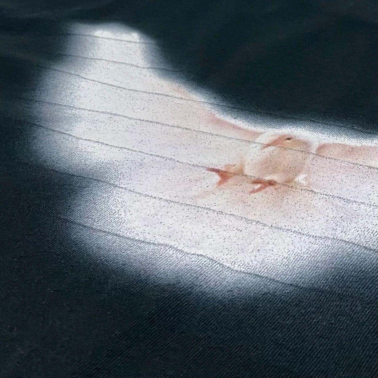 Yeezy Gap 2022 OG Reference Dove Tee By Betsy Johnson - Image 6