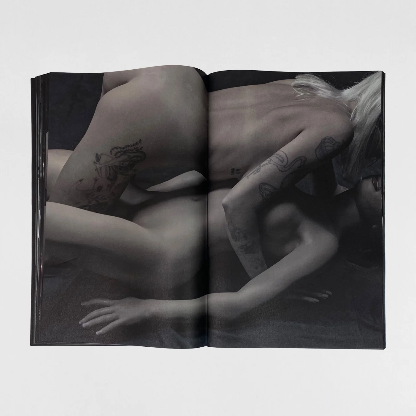 YZY SZN 3-4 Large Zine By Jackie Nickerson - Image 13